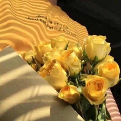 im电竞官网注册